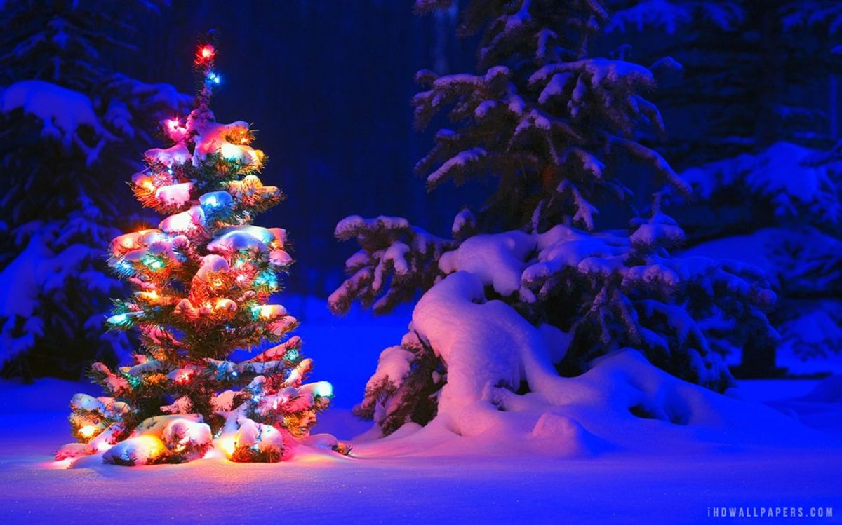 5 Things That Excite People Who Love The Christmas Season
