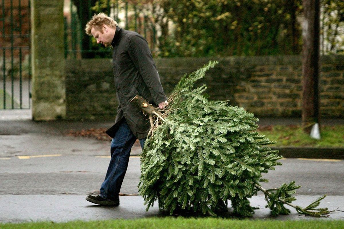 When Do You Take Down the Christmas Tree?