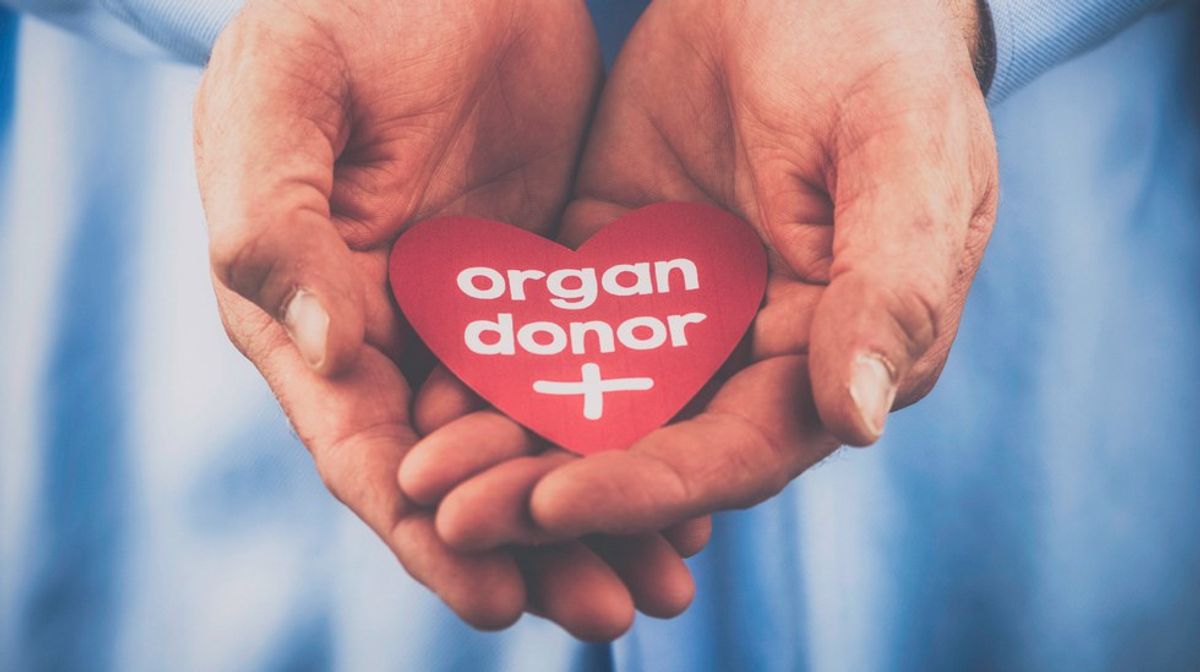 An Open Letter To Those Who Received My Brother's Organs