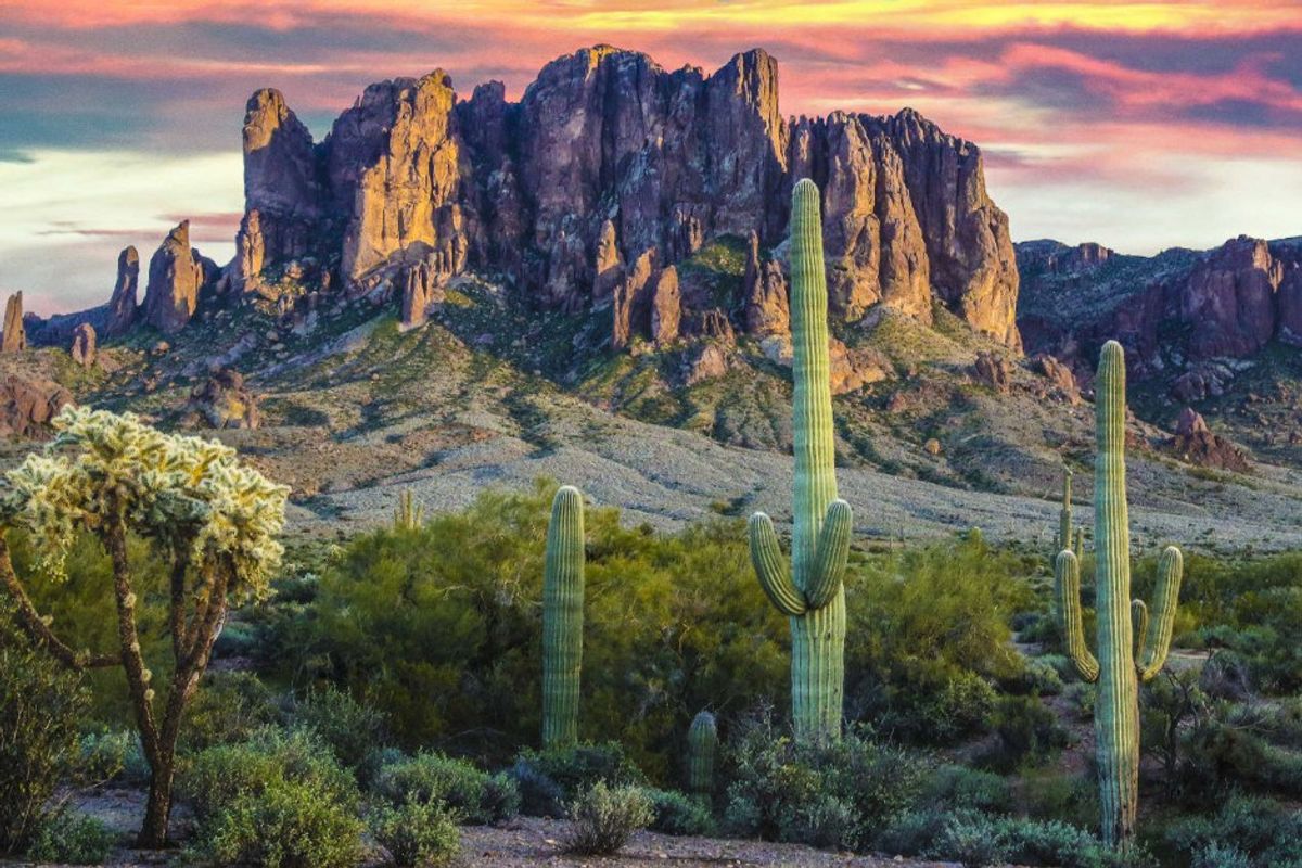 10 Things to Do Over Winter Break in Phoenix, Arizona