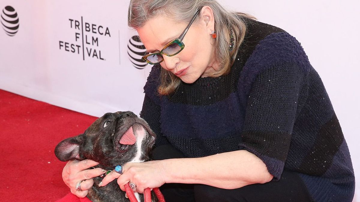 Why I Cried Over Carrie Fisher's Death