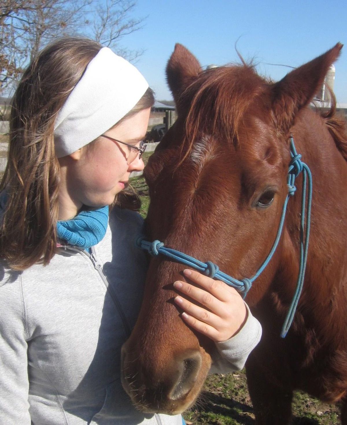 Horses Are Sensitive, Emotional And Smart