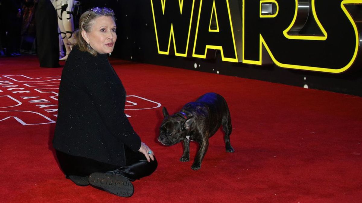 Thank You, Carrie Fisher