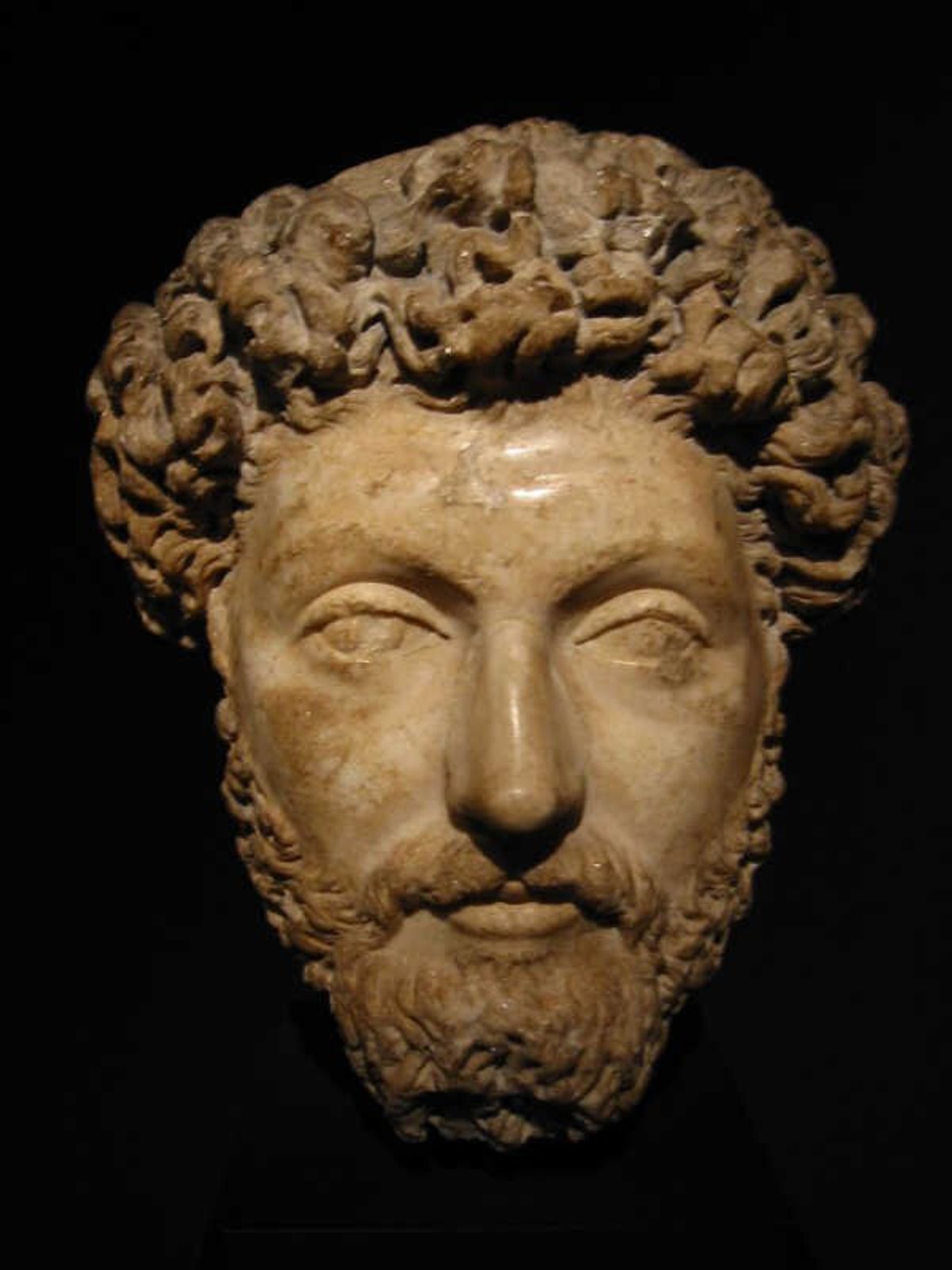 Reflection On Marcus Aurelius' Meditations