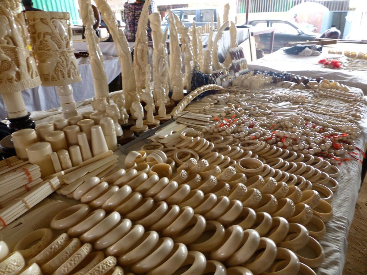 An End to Ivory Trade
