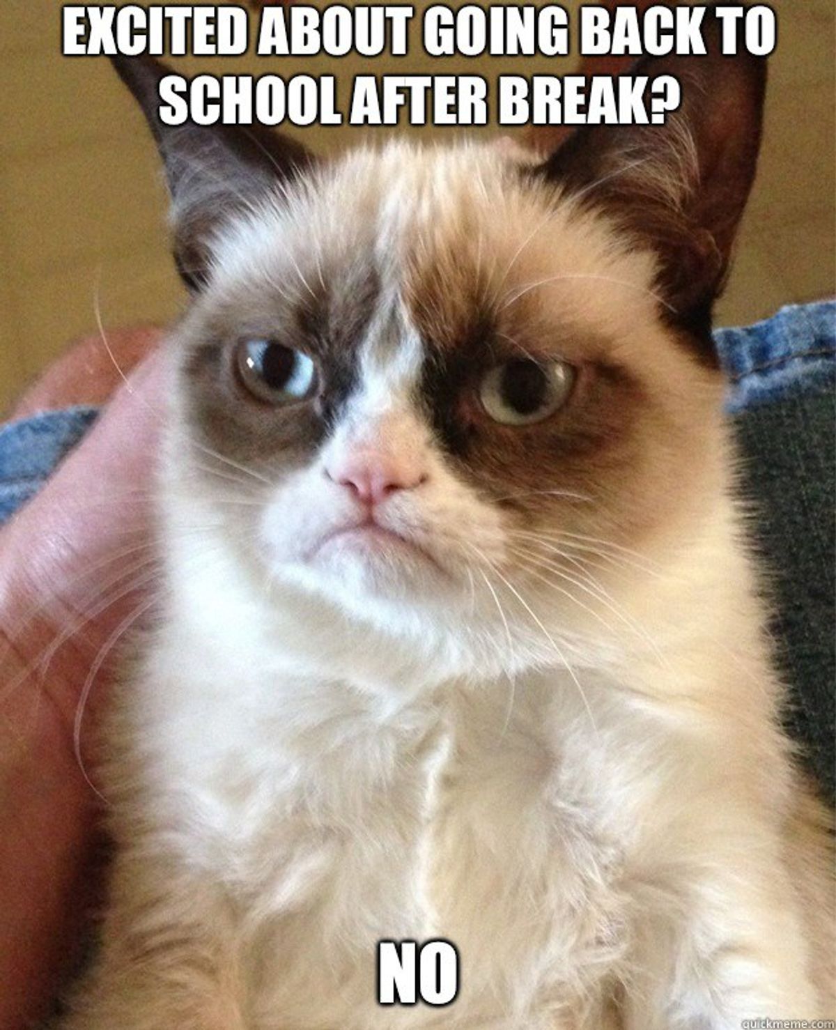 25 Thoughts You Have When Returning To School After Break
