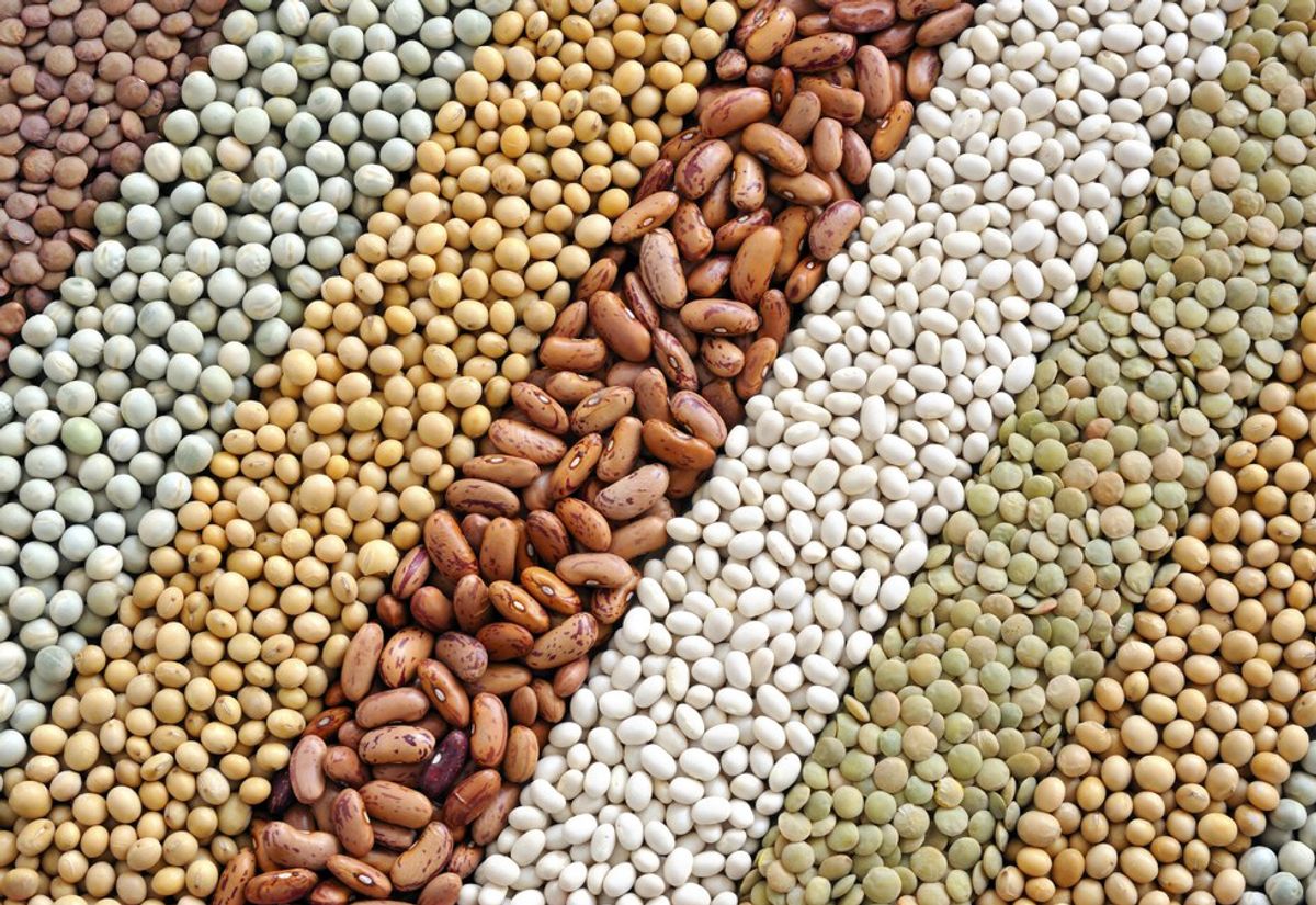 10 Vegan Protein Sources For Under A Dollar