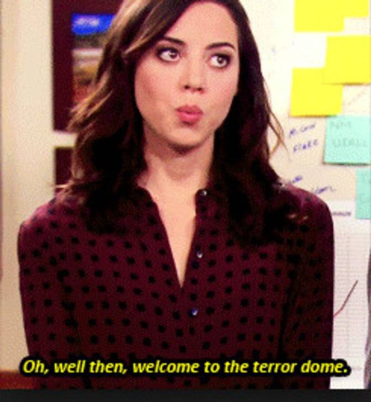 30 Things Every IB Student Knows To Be True As Told By "Parks And Rec"