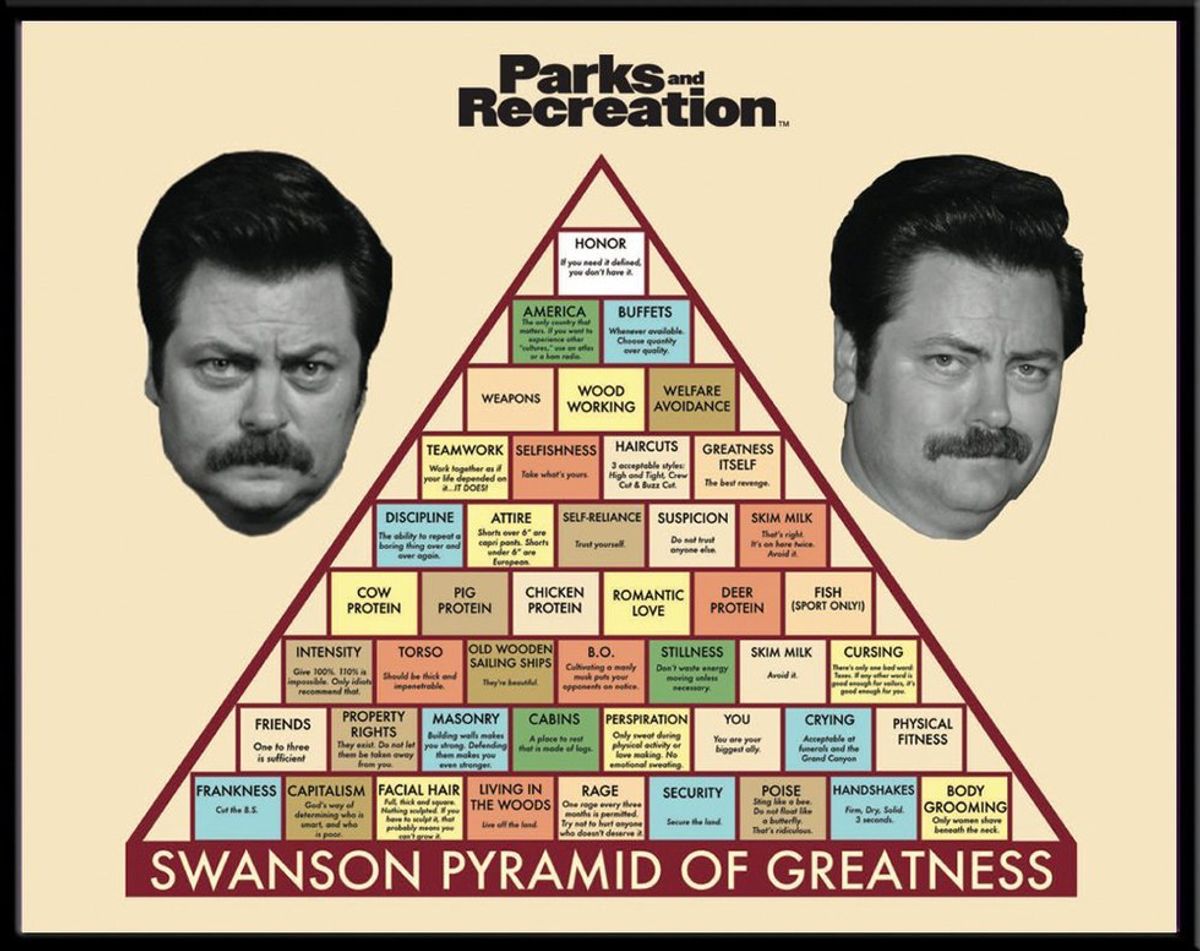 The Government as Told by Ron Swanson