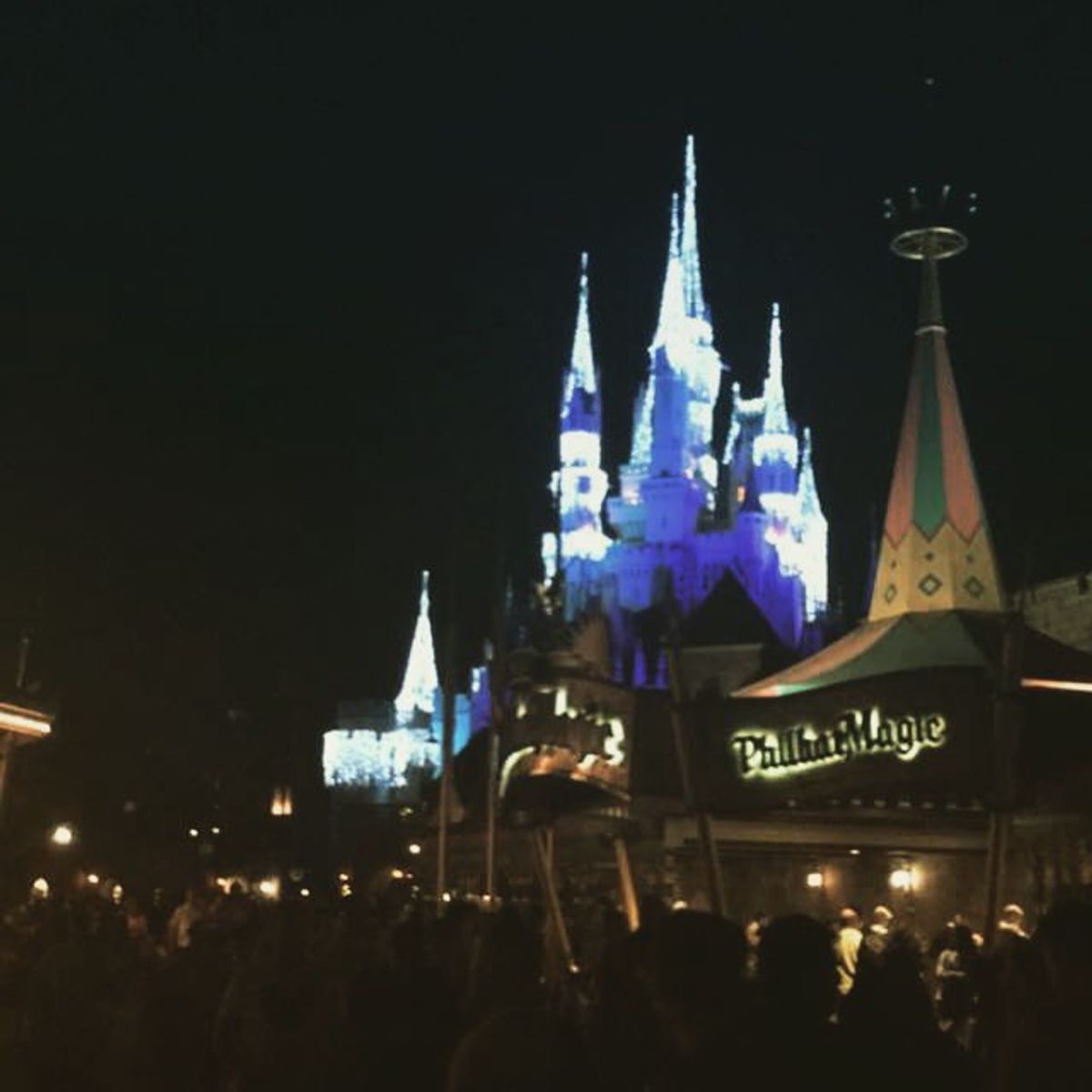 5 Reasons To Visit Disney World As An Adult