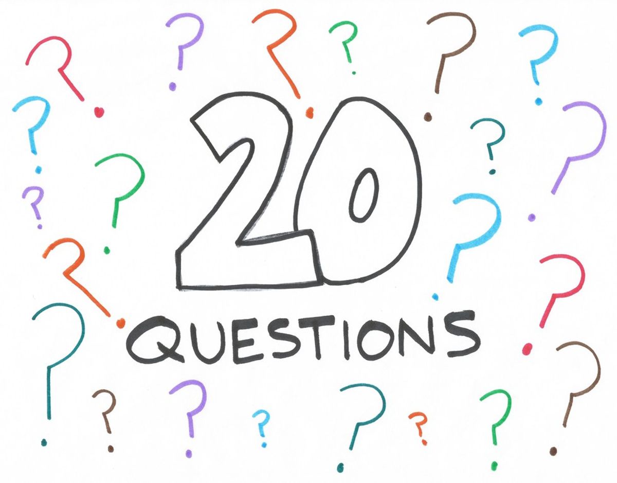 Questions To Use During A Game Of "20 Questions"