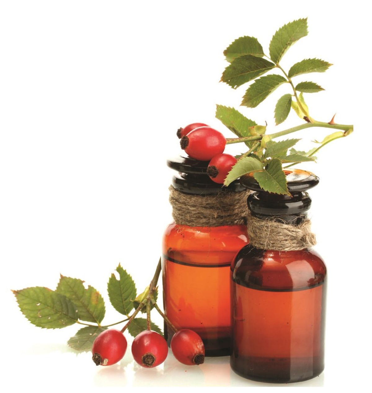 Rosehip Seed Oil: The Beauty Must-Have for Your Skin