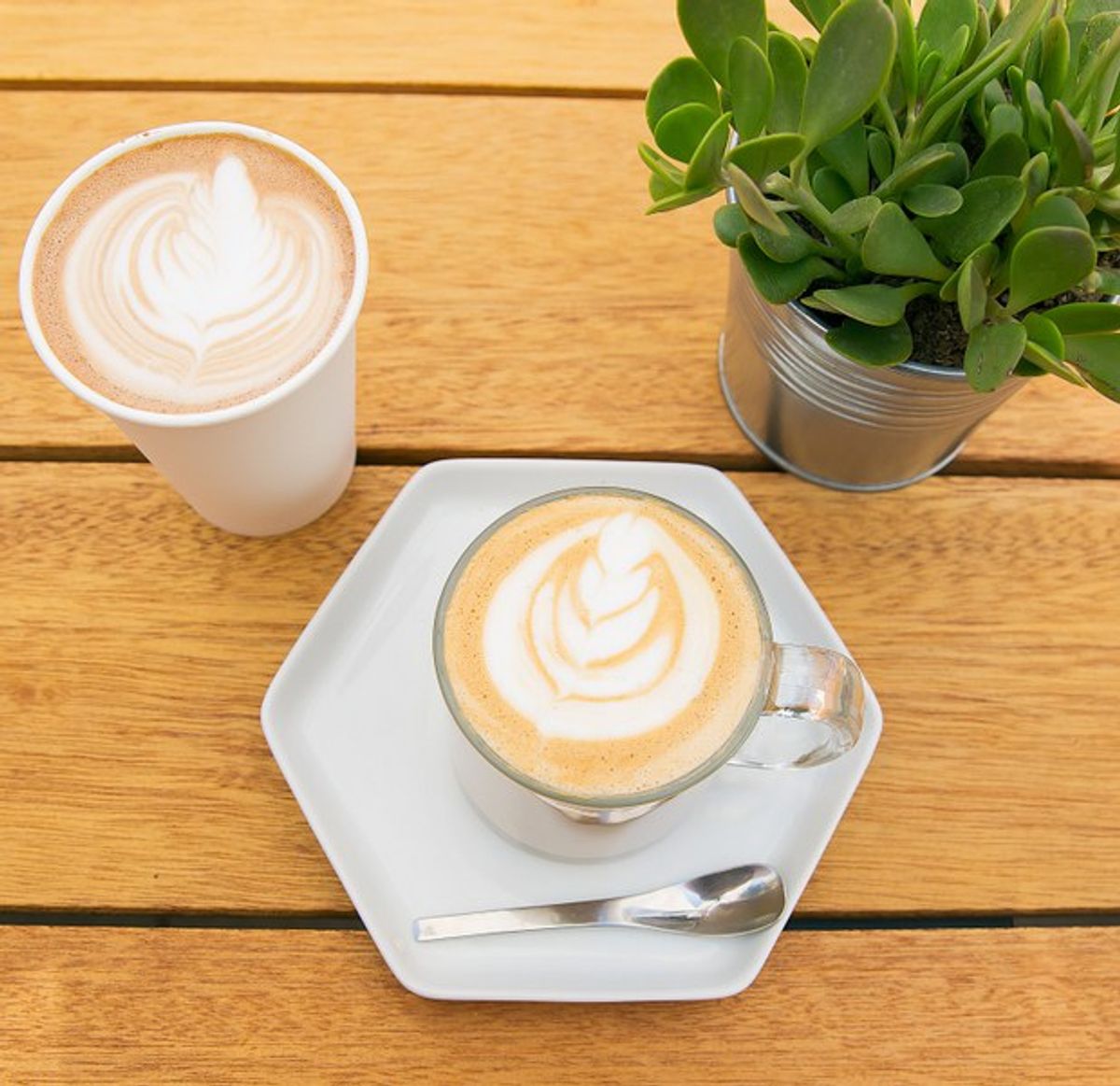 The Best Coffee Shops For USD Students