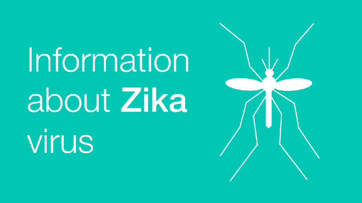 The Zika Virus and Pregnancy