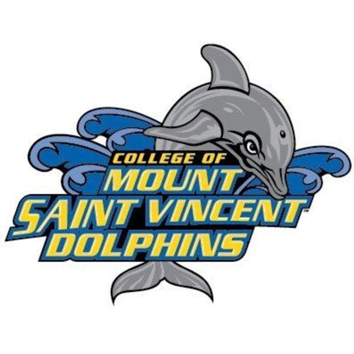 32 Questions I Have For The College Of Mount Saint Vincent