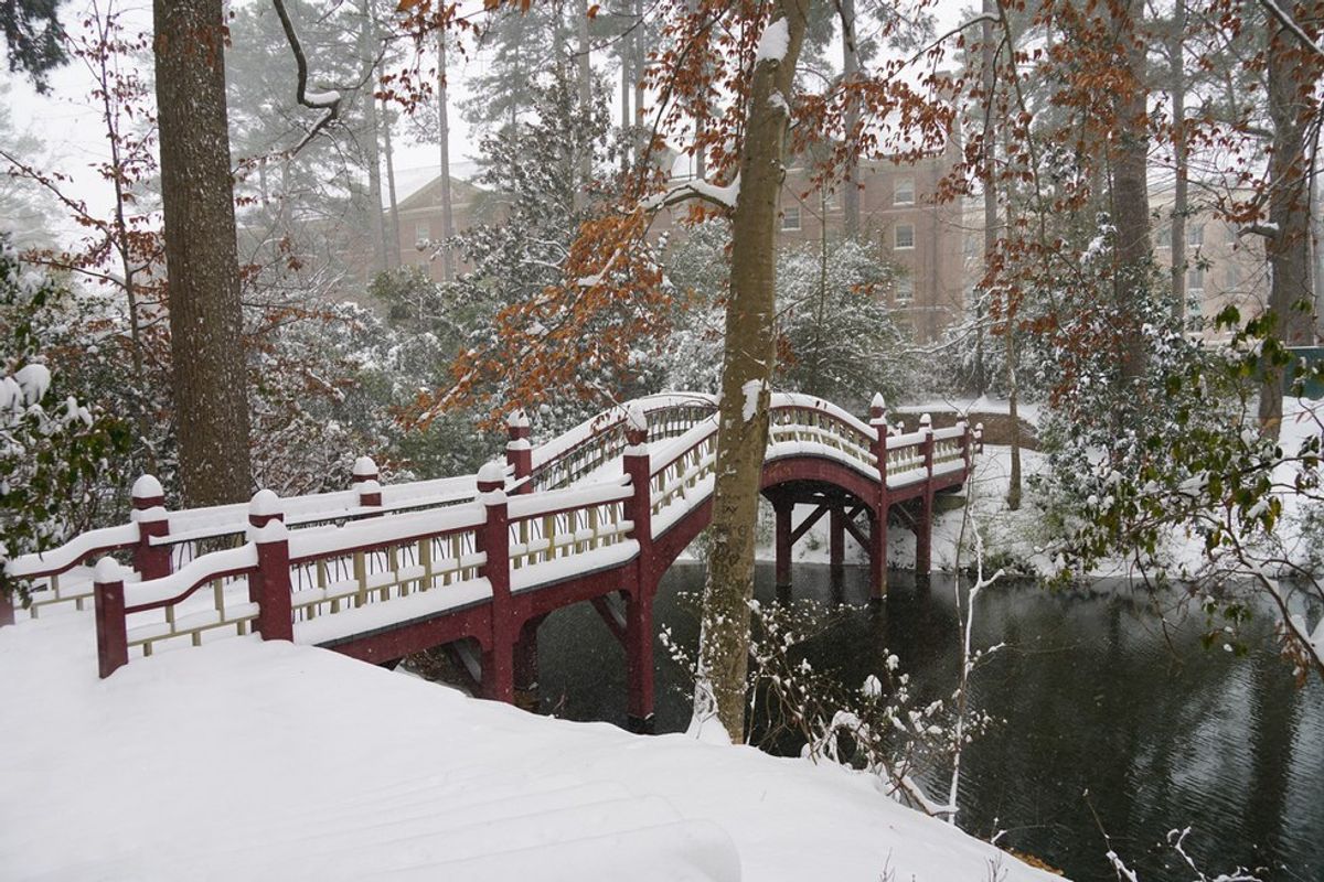 11 Signs That You're A William & Mary Student Returning From Winter Break