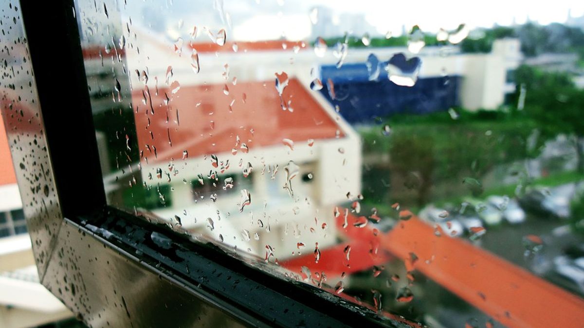 Rain Through My Lens: What It Means To Me