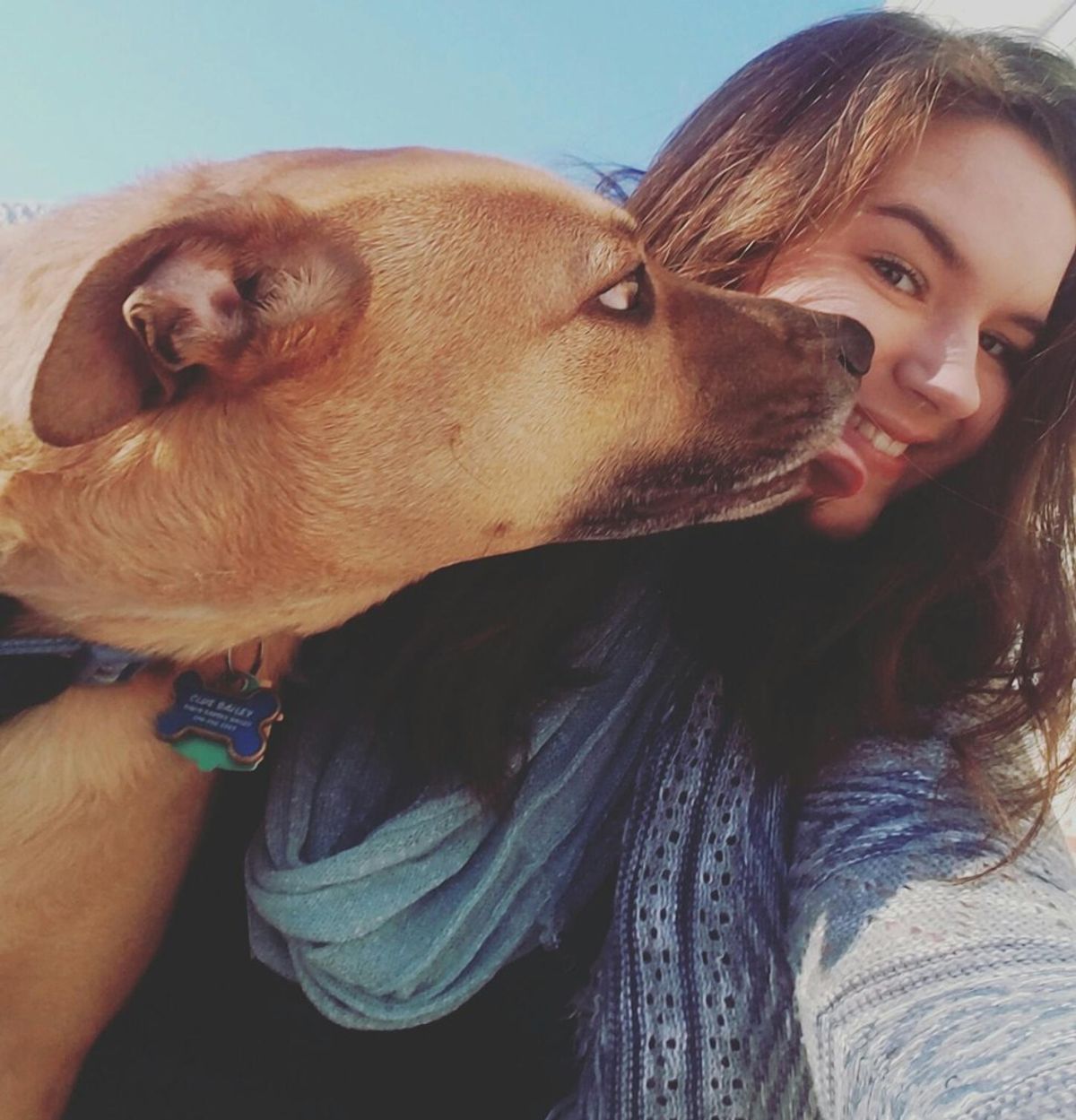 15 Signs You Know Your Dog Is Your Best Friend
