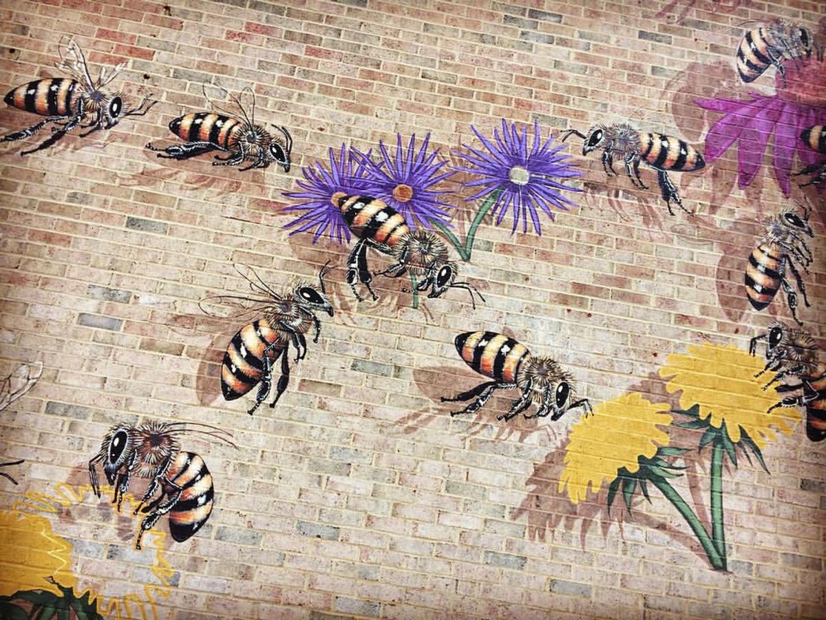 One Artist's Quest To Save The Honeybee, One Painting At A Time