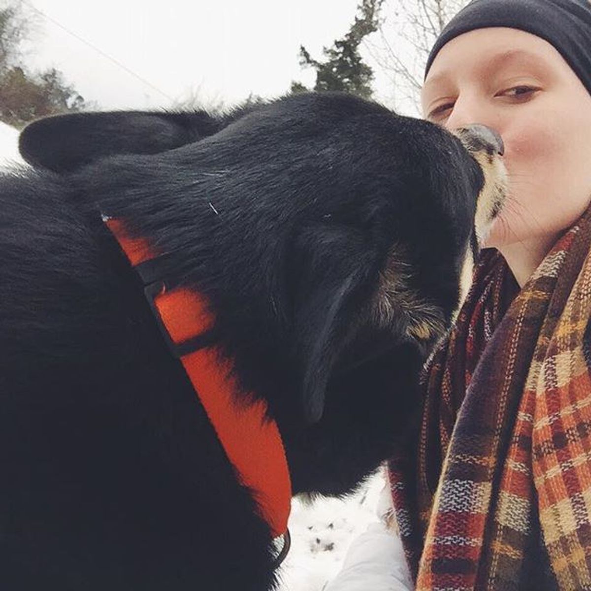 8 Things That People Who Own Big Dogs Can Relate To