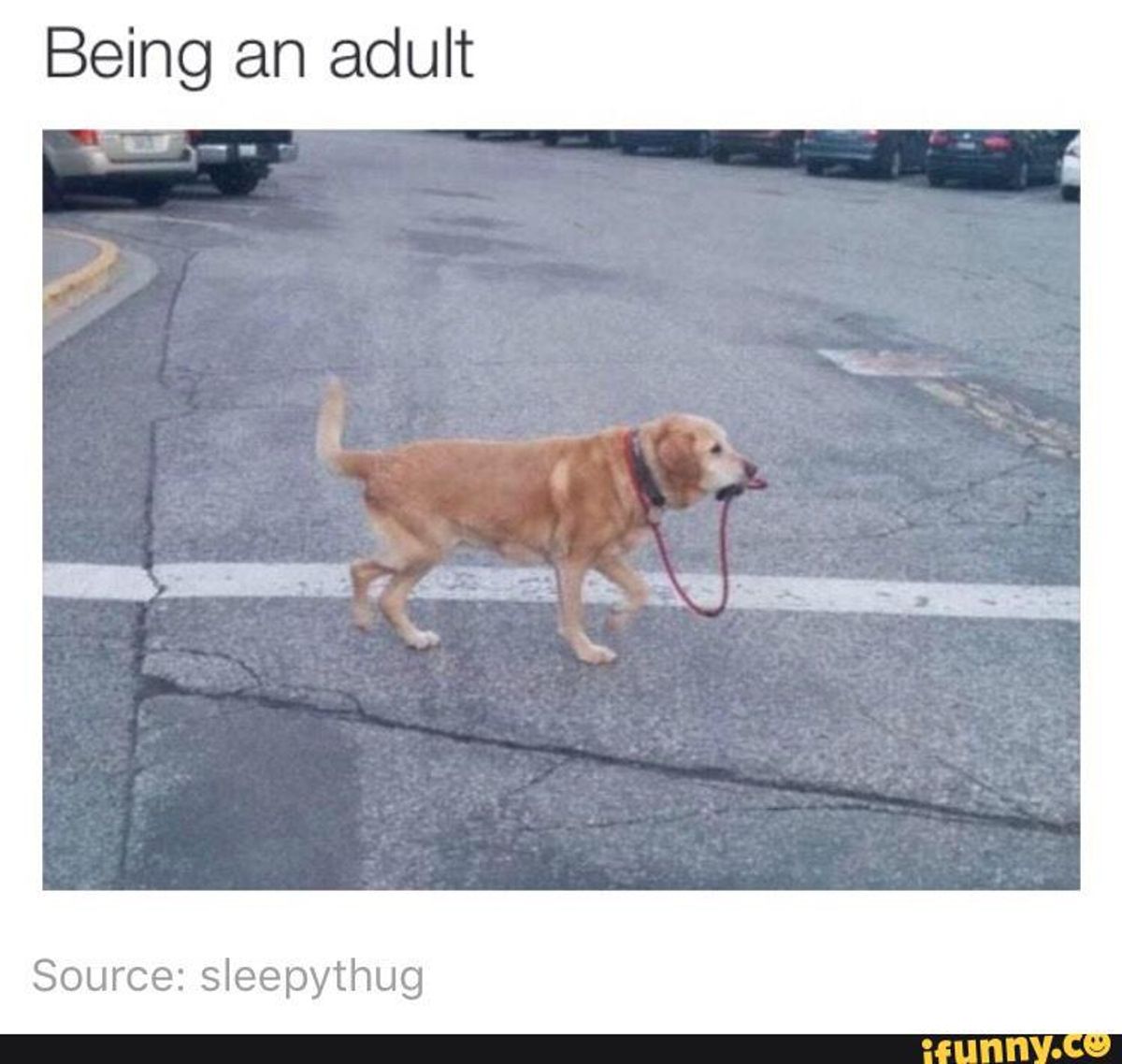 8 Things That Are Considered "Adulting"