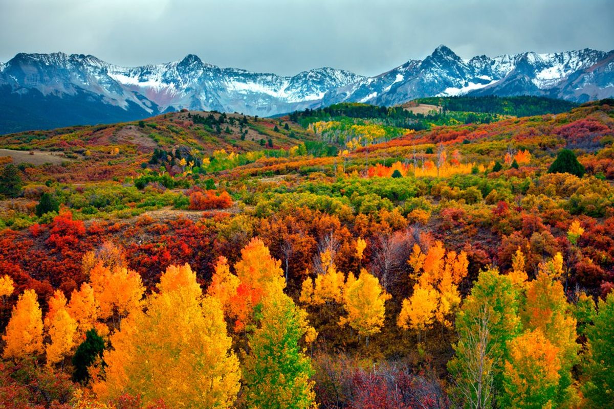 30 Things Every Coloradan Knows To Be True