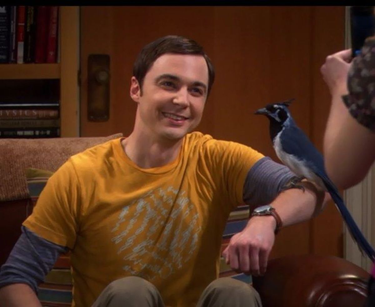 How to be Your Best Self, According To Sheldon Cooper