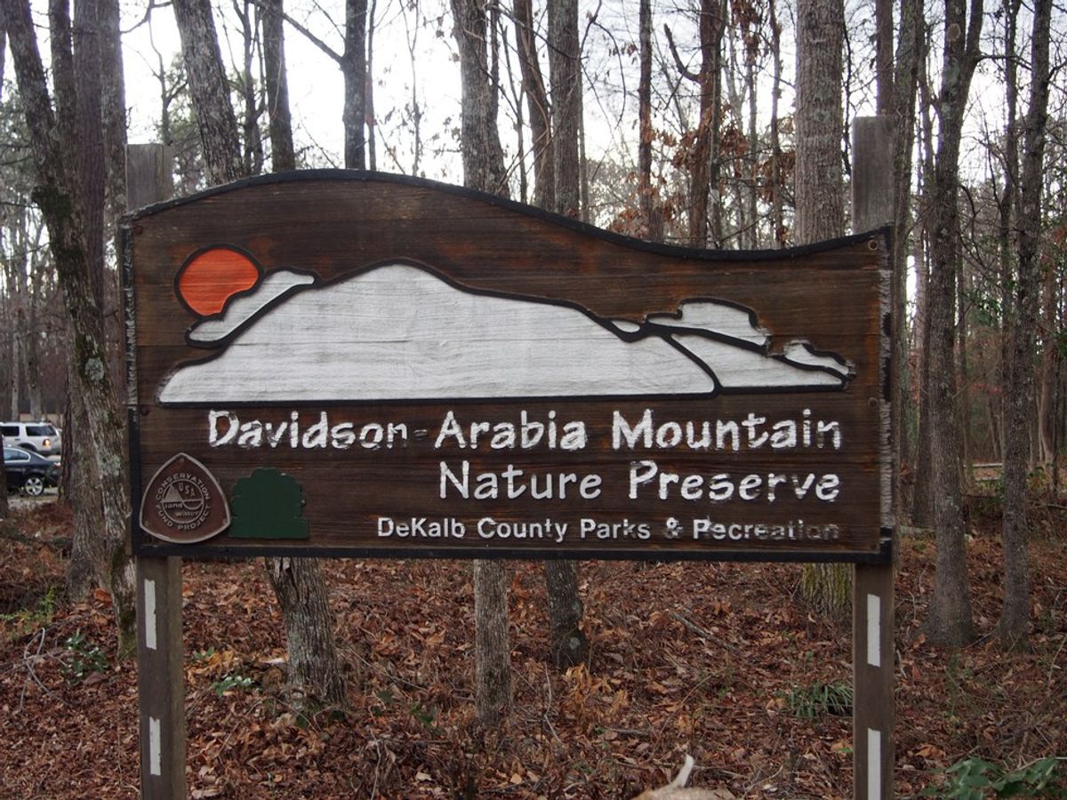 Hike Of The Month: Davidson-Arabia Mountain Nature Preserve