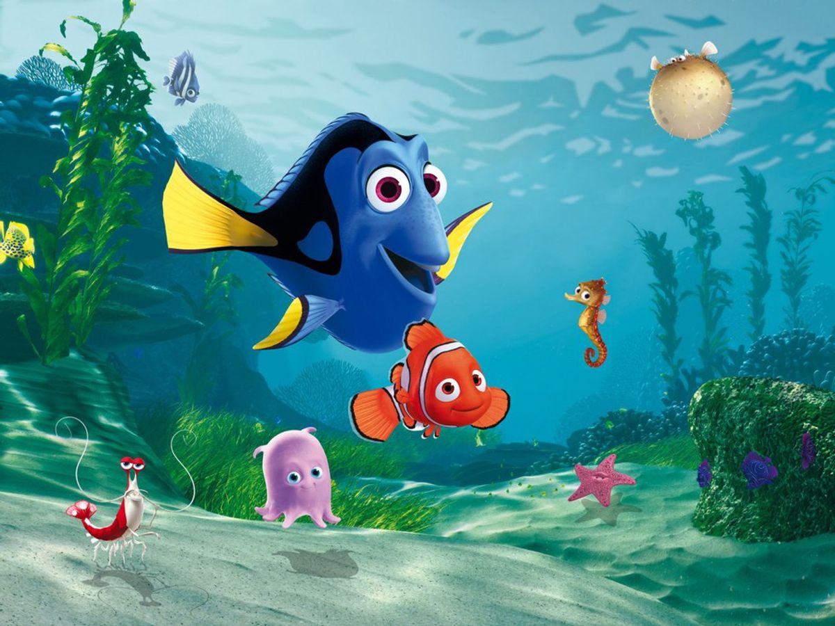 6 Life Lessons I Learned From Finding Nemo