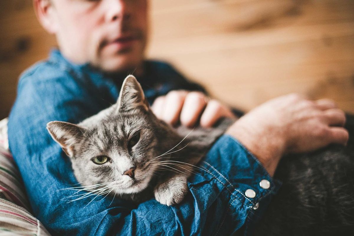 10 Legitimate Thoughts Every Cat Lady Has