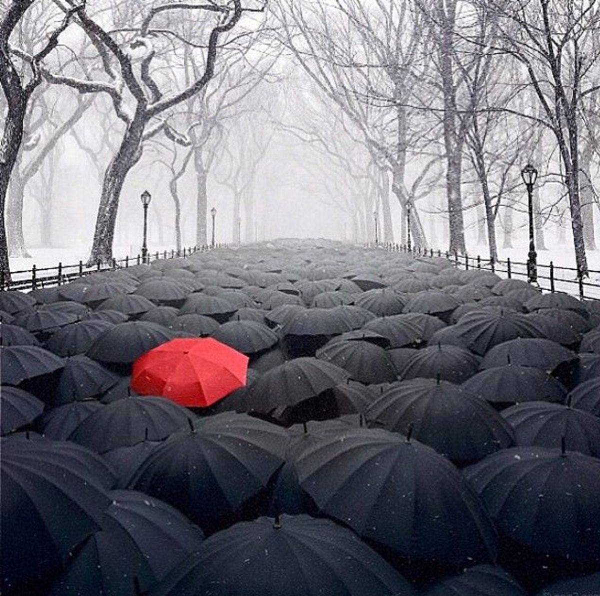 The Umbrella, A Horror Story