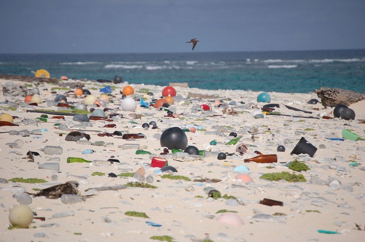 Bali is Saying Goodbye to Plastic Bags
