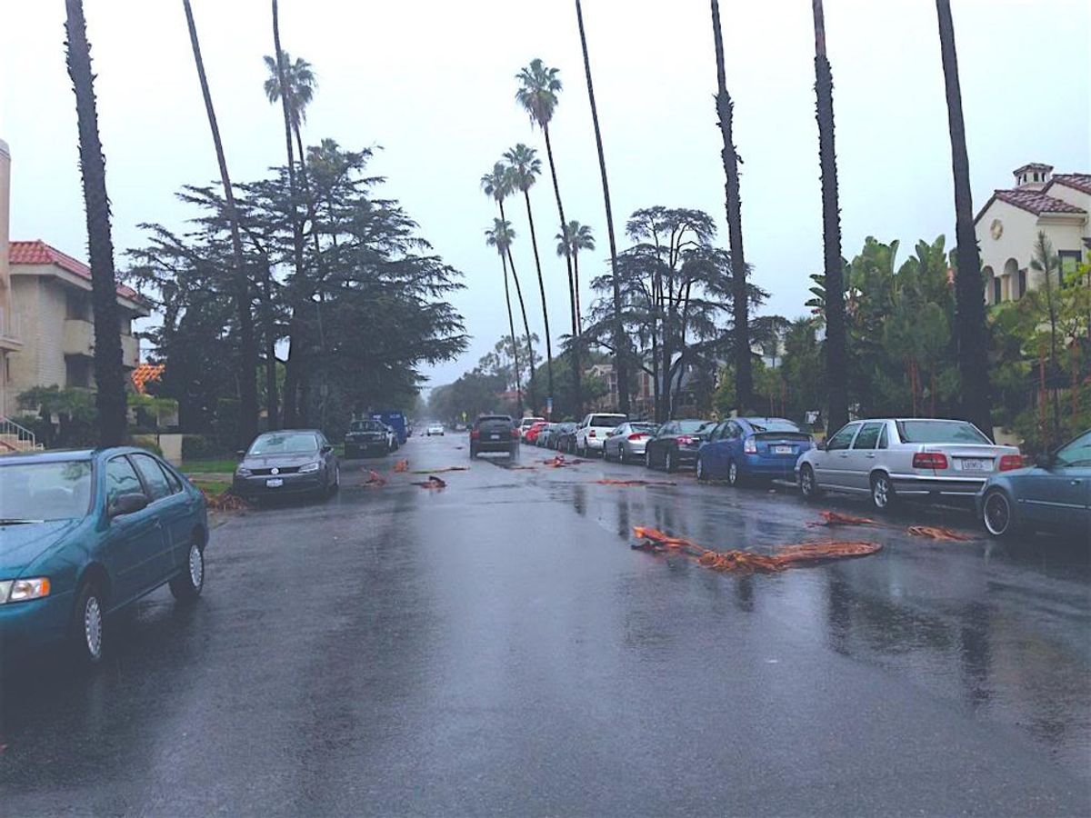 11 GIFs That Perfectly Sum Up When It's Raining In Los Angeles