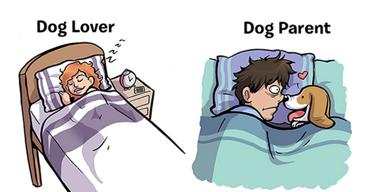6 Differences Between a Dog Lover and a Dog Owner