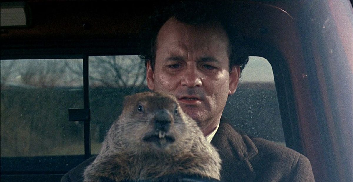 Will Punxsutawney Phil See His Shadow This Groundhog Day?