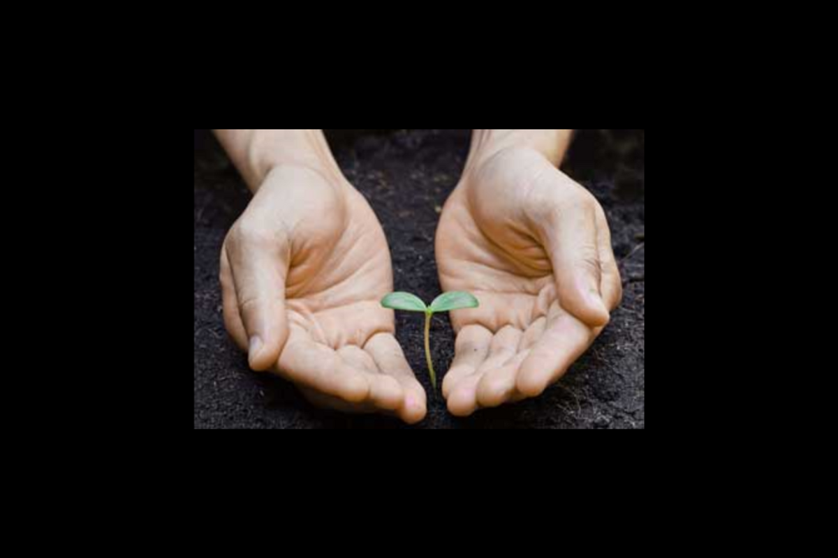 Life Is A Seedling Inside Your Hands: You Choose How To Cultivate It