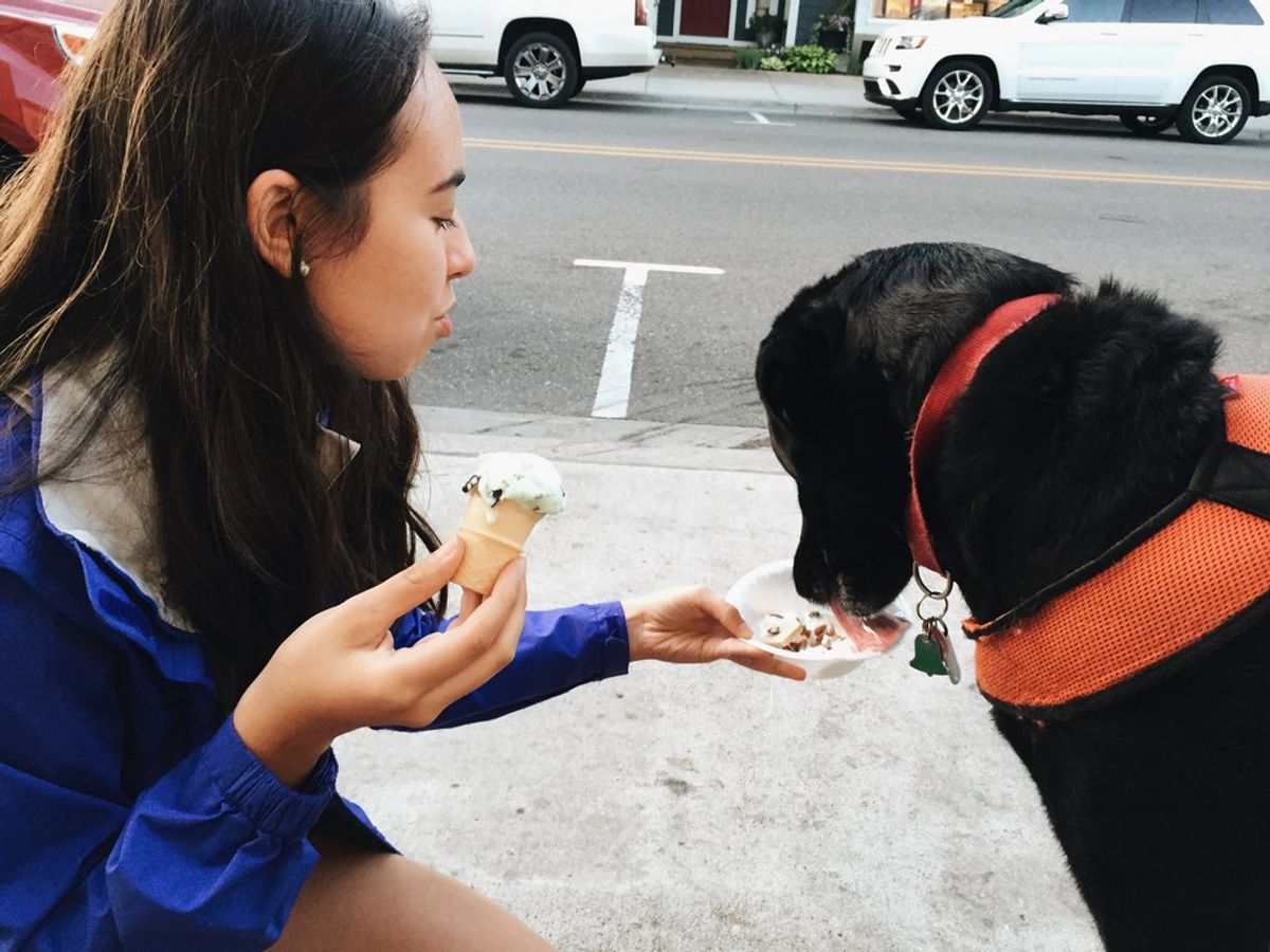 10 Things That Happen When You Miss Your Dog In College