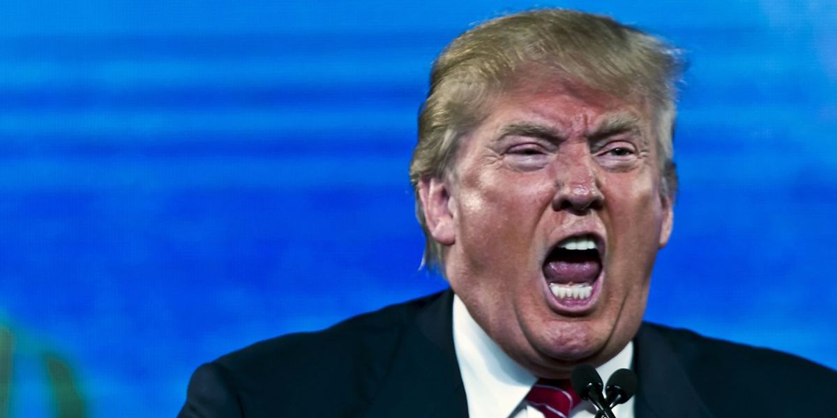 7 Ways To Piss Off Donald Trump
