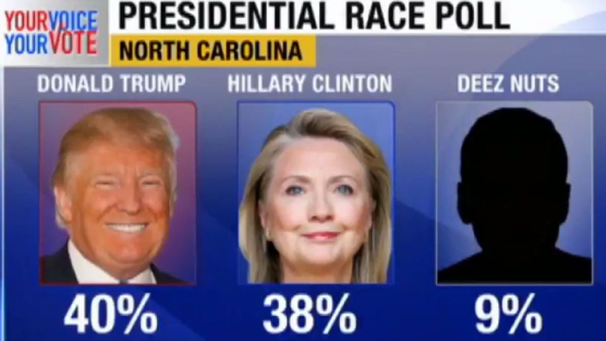 Don't Blame Me, I Voted for Deez Nuts