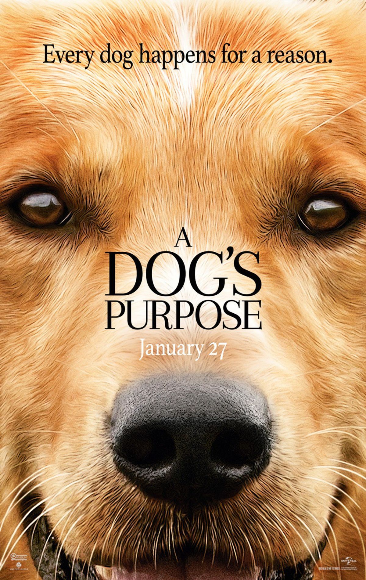 Why You Can Still Go See A Dog's Purpose
