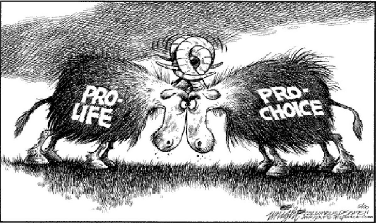 Middle Ground Between Pro-Life and Pro-Choice