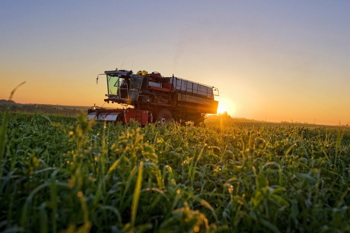 9 Things An Agriculture Major Needs You To Know About Your Food