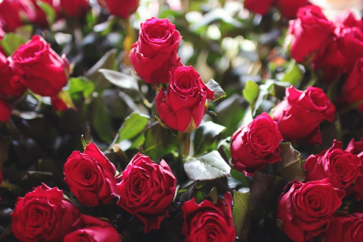 14 Reasons For The Believer To Be Joyful On Valentine's Day