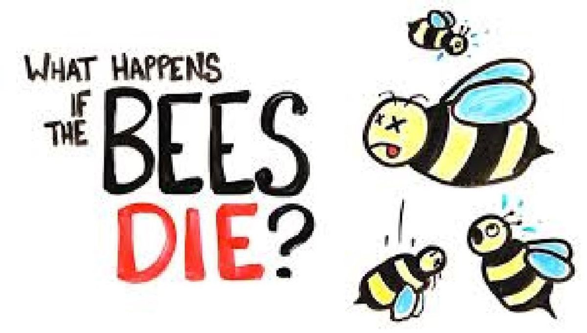What Would Happen If All The Bees Died?