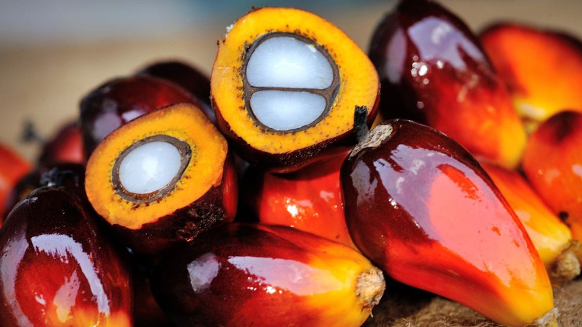 What Is Palm Oil, And Why You Should Care About Consuming It.