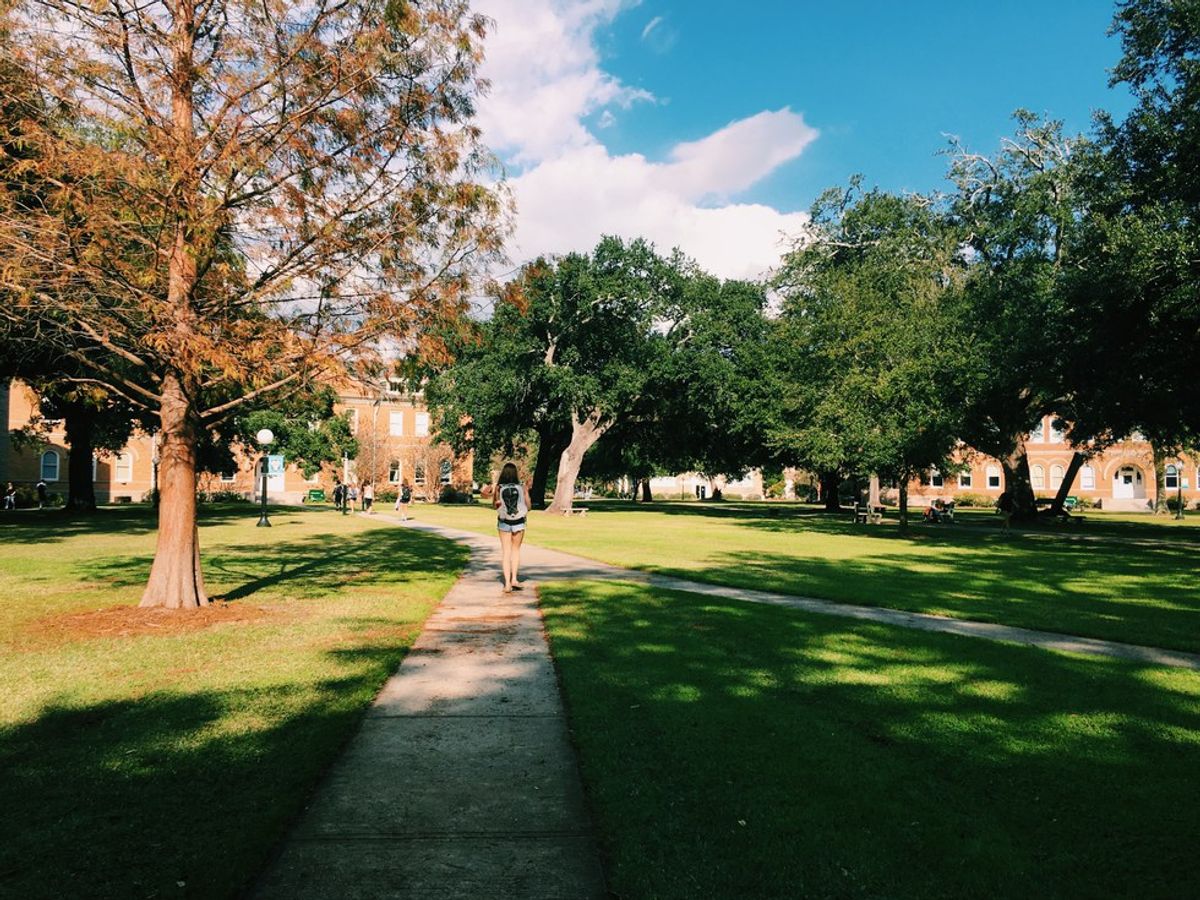 17 Reasons Why You Should Come To Tulane