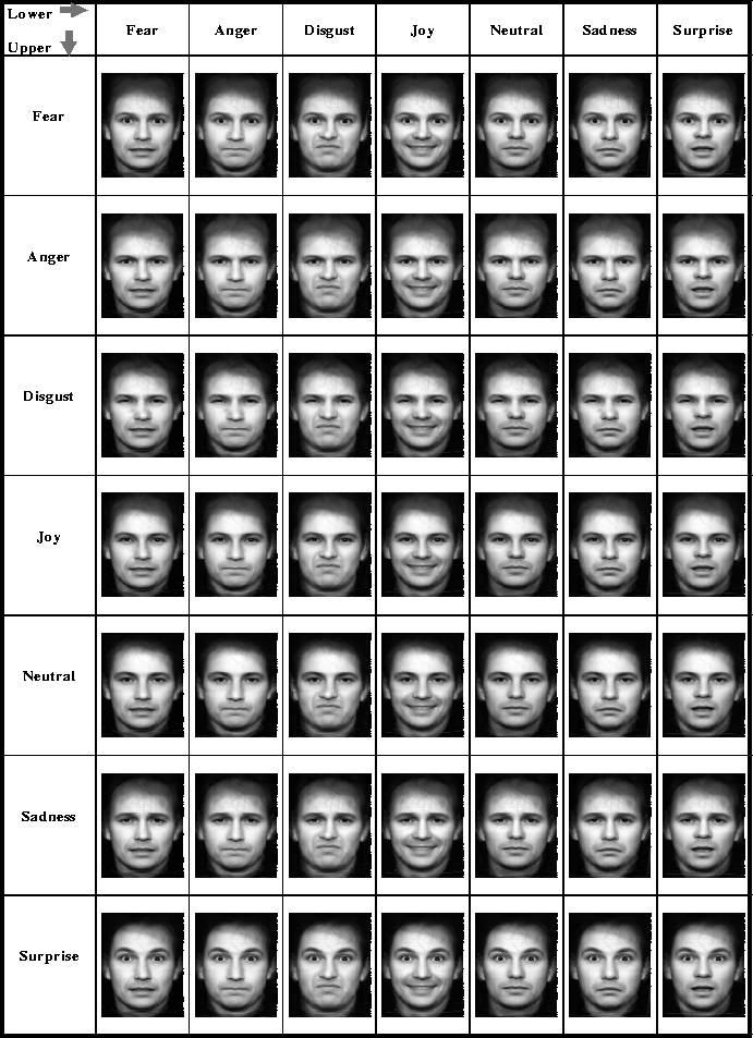 The Hidden Truth Behind Micro Expressions