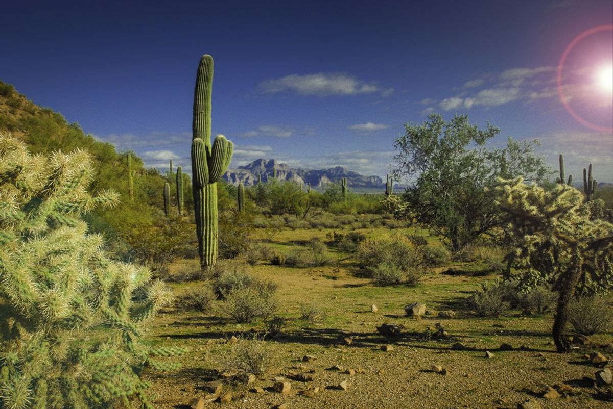 26 Ways You Know You're From Arizona