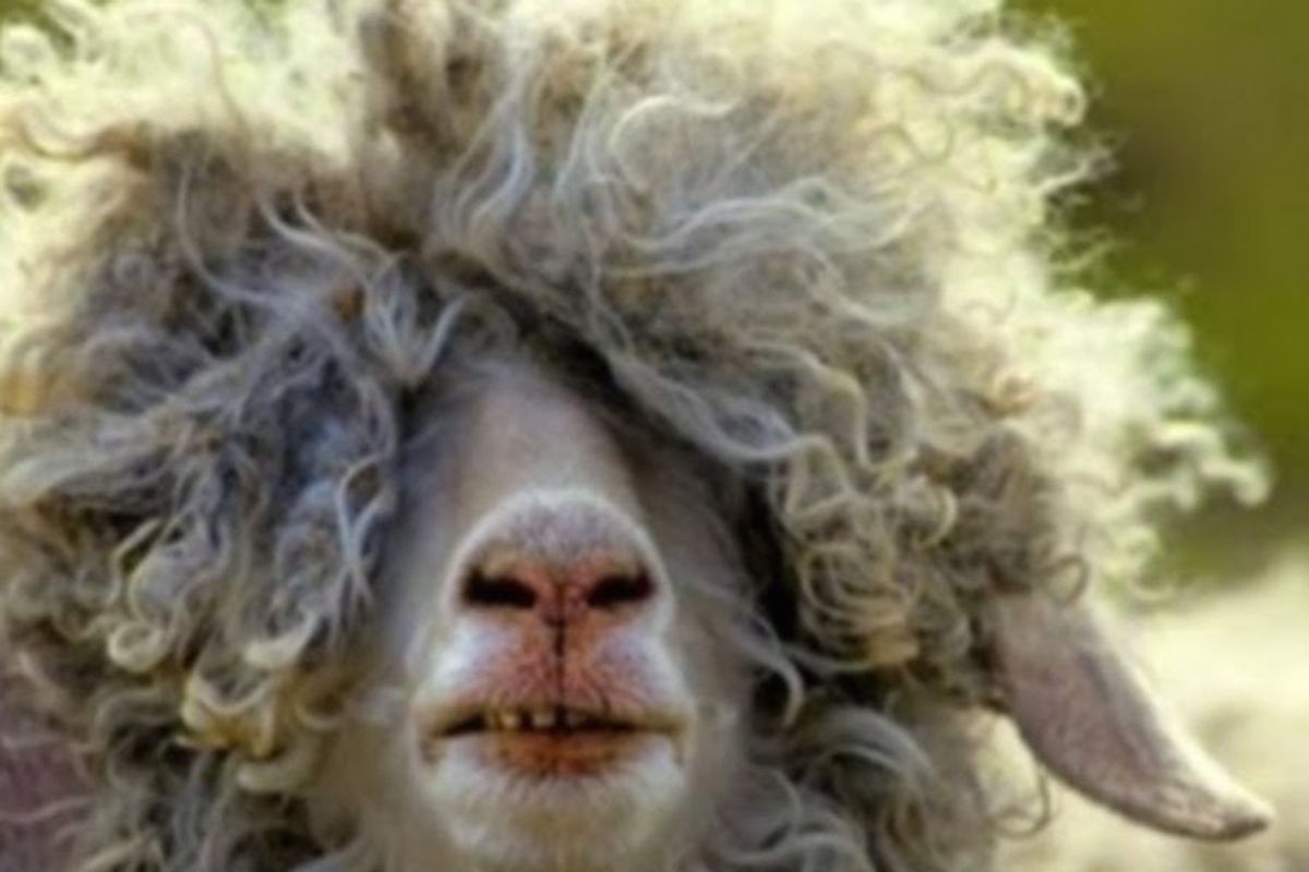 12 Things All Girls With Curly Hair Know To Be True