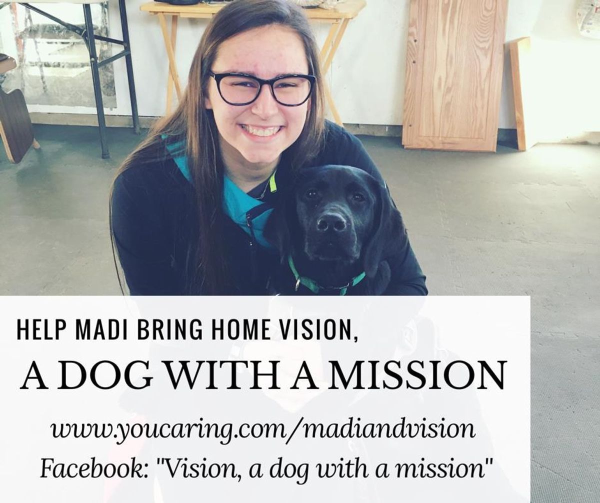 Vision: A Dog With A Mission
